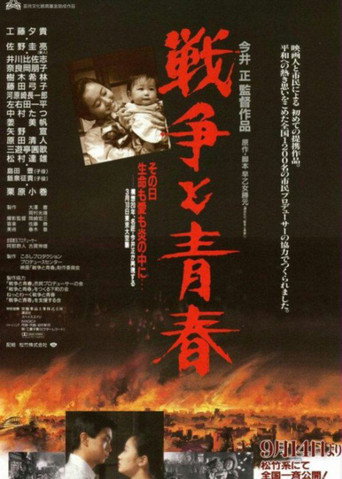 战争与青春海报