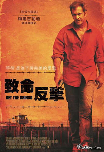 抓住外国佬海报