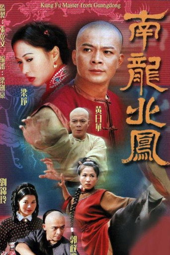 南龙北凤海报