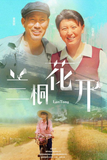 兰桐花开海报