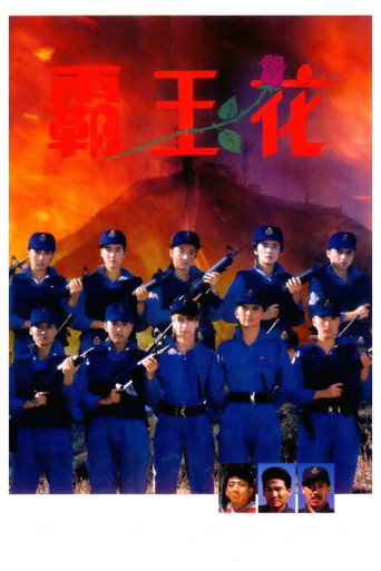 霸王花海报