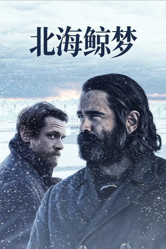 北海鲸梦海报