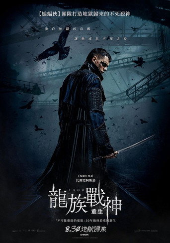 乌鸦海报