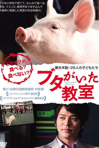 小猪教室海报