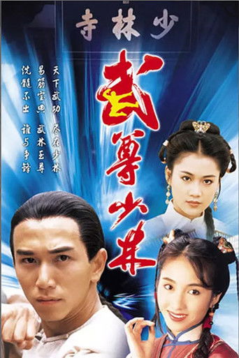 武尊少林海报