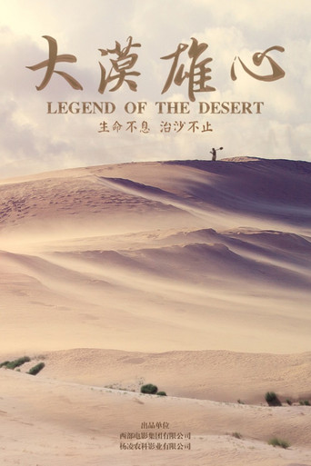 大漠雄心海报