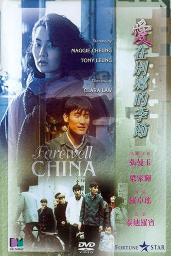 爱在别乡的季节海报