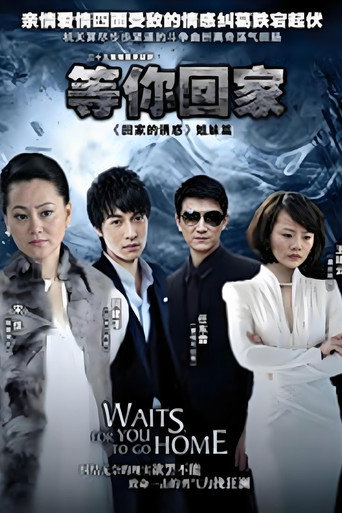 等你回家海报