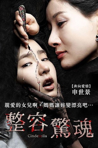 灰姑娘海报