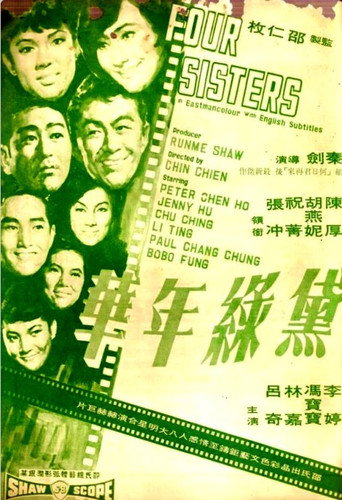 黛绿年华海报