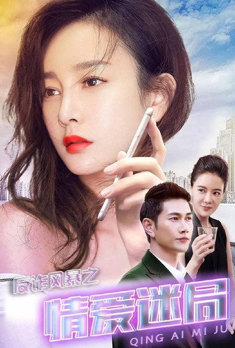 反诈风暴之情爱迷局海报