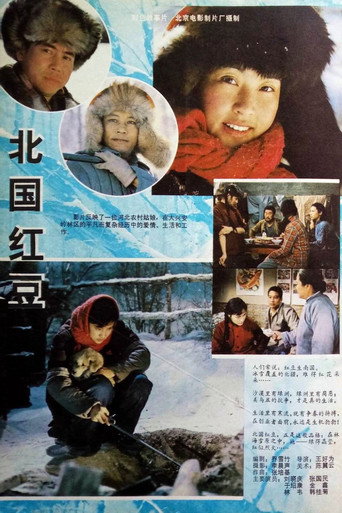 北国红豆海报