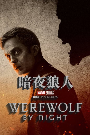 暗夜狼人海报