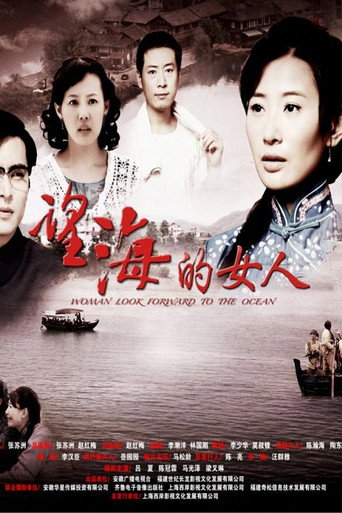望海的女人海报