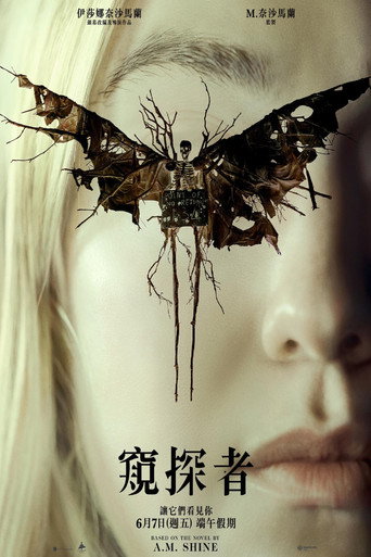 神秘窥视海报