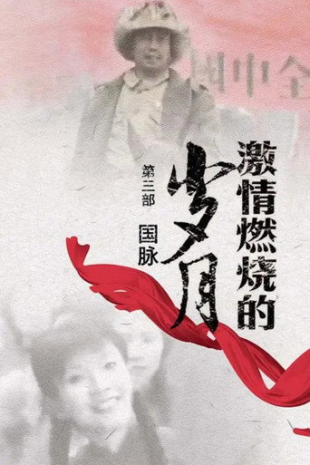 激情燃烧的岁月 激情燃烧的岁月3海报