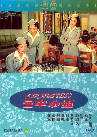 空中小姐海报
