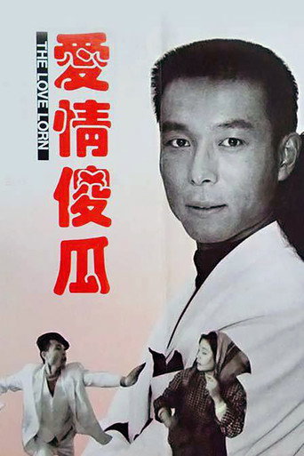 爱情傻瓜海报