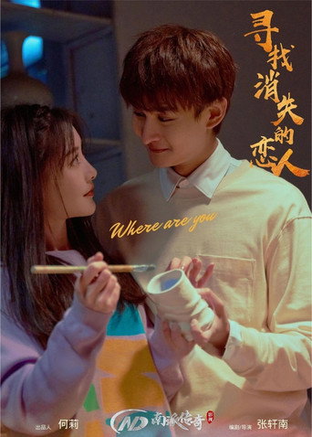 寻找消失的恋人海报
