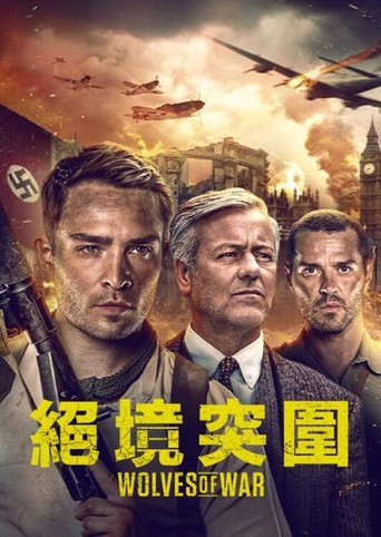 战地之狼海报