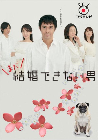 不能结婚的男人 还是不能结婚的男人海报