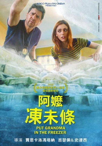 把外婆放进冰箱海报