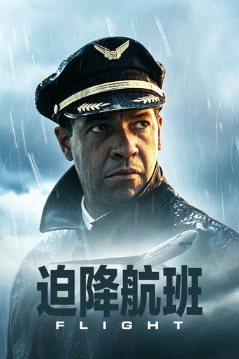 迫降航班海报