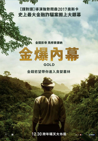 金矿海报