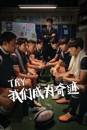 TRY：我们成为奇迹海报