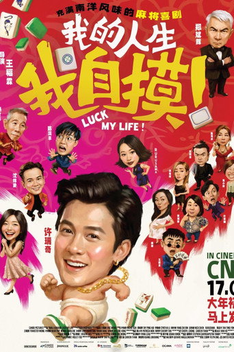 我的人生，我自摸海报
