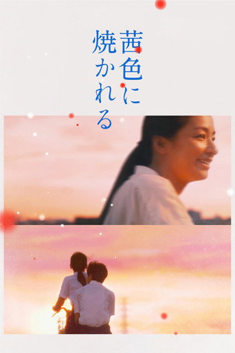 茜色如烧海报