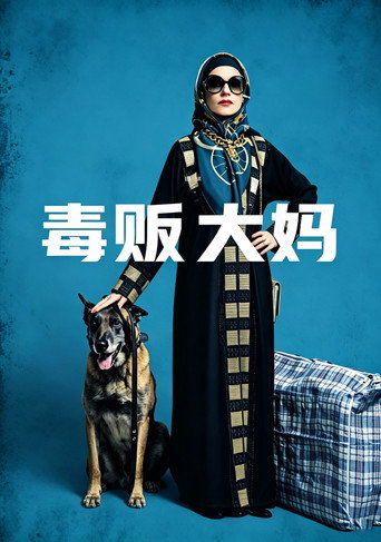 毒贩大妈海报