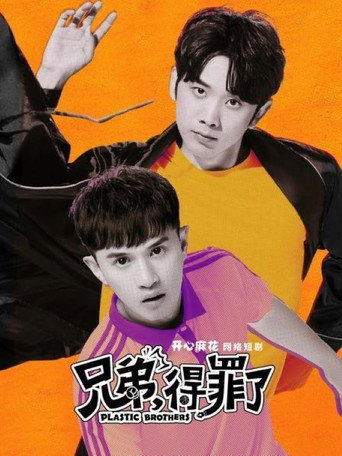兄弟，得罪了海报
