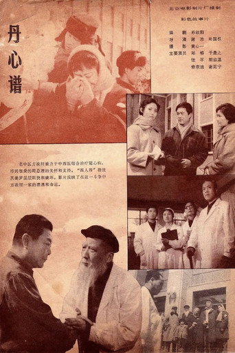 丹心谱海报