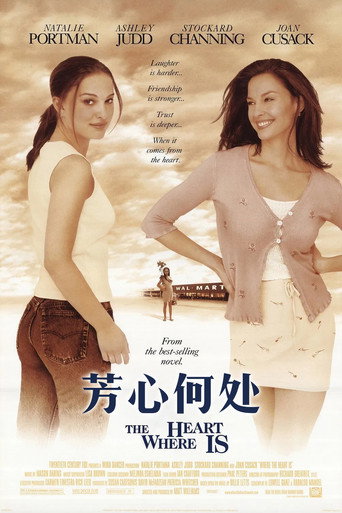 芳心何处海报
