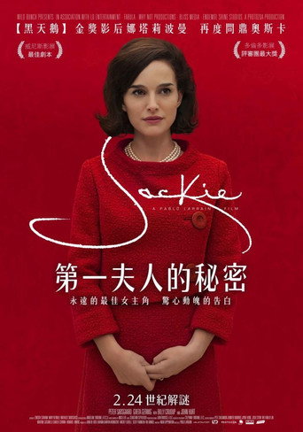 第一夫人海报
