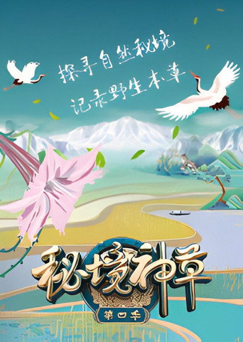 秘境神草 第4季海报