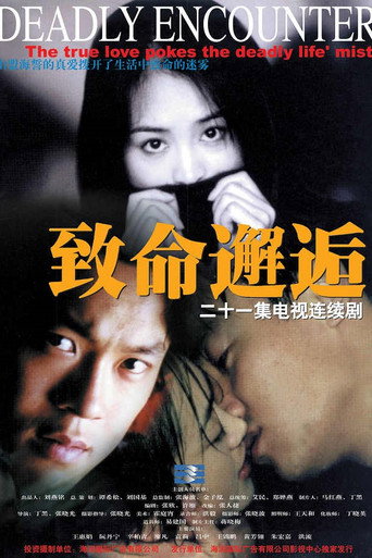 致命邂逅海报