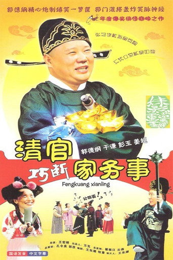 清官巧断家务事海报