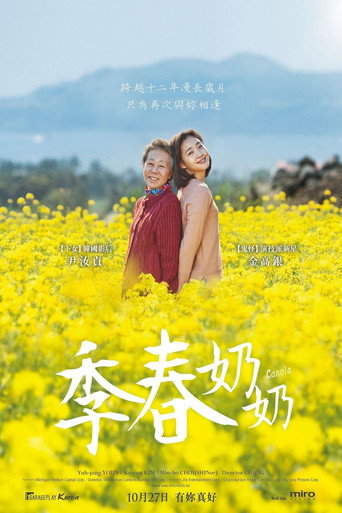 季春奶奶海报