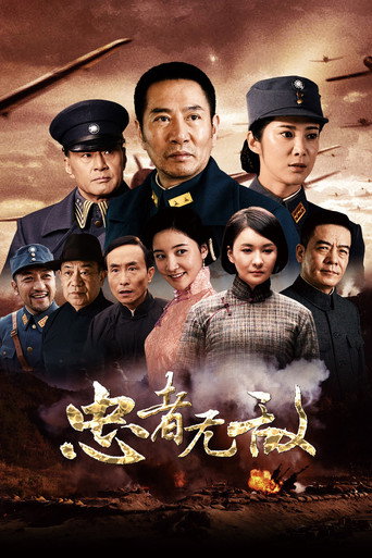 忠者无敌海报