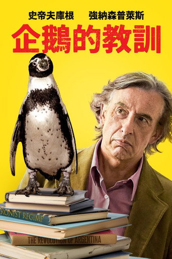 企鹅课海报