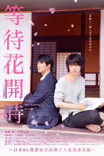 不知花开否海报