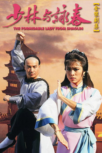 少林与咏春海报