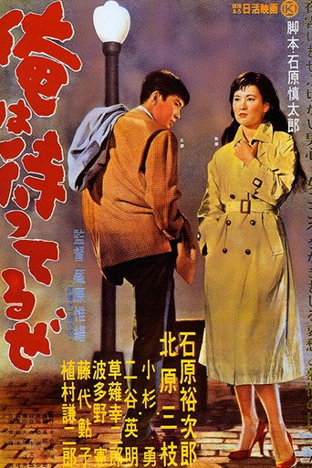 我在等待海报