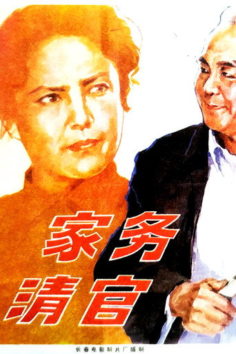 家务清官海报