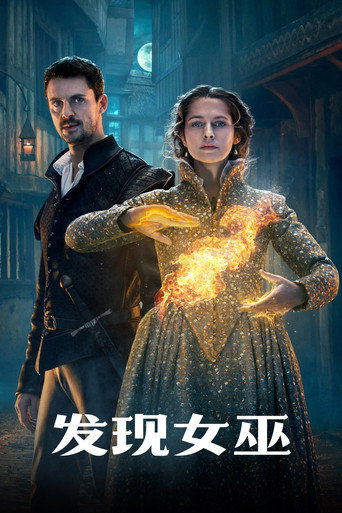 发现女巫海报