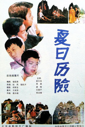 夏日历险海报