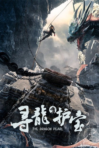 寻龙护宝海报