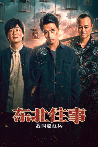 东北往事之我叫赵红兵海报
